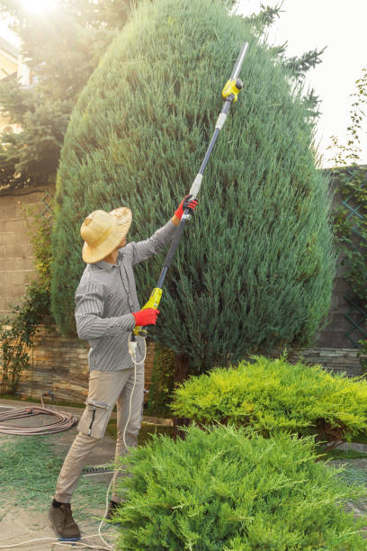 Best Commercial Tree Services  in , CT